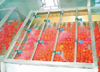 Linea procesadora de tomate, zanahoria y vegetales
