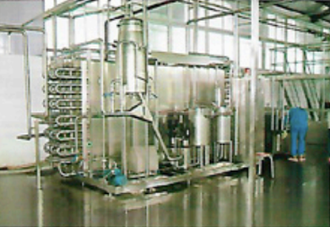 Linea de procesamiento de melocoton, durazno y ciruela