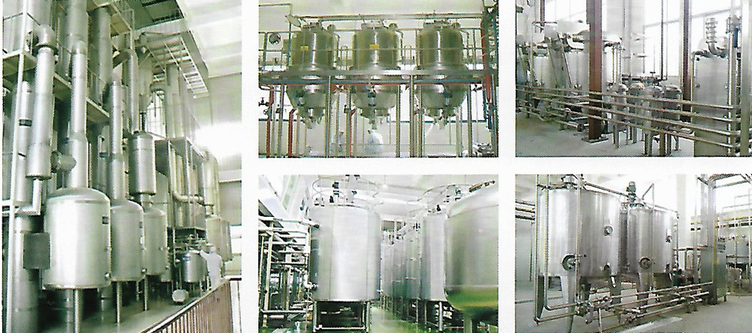 Línea de Procesamiento de Extracción de Bebidas