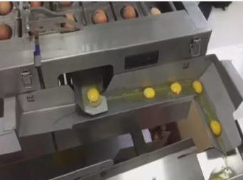 máquina automática de procesamiento de alimentos rompe la cáscara del huevo y separa la yema de clara