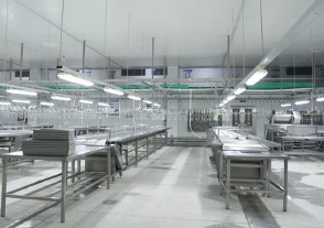 Linea de equipos de sacrificio totalmente automatica