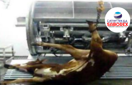 Rejilla de recogida de cadáveres de ganado