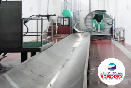 Canal de recolección de sangre de ganado