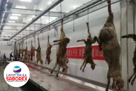 Sheep/goat bleeding automatic convey rail