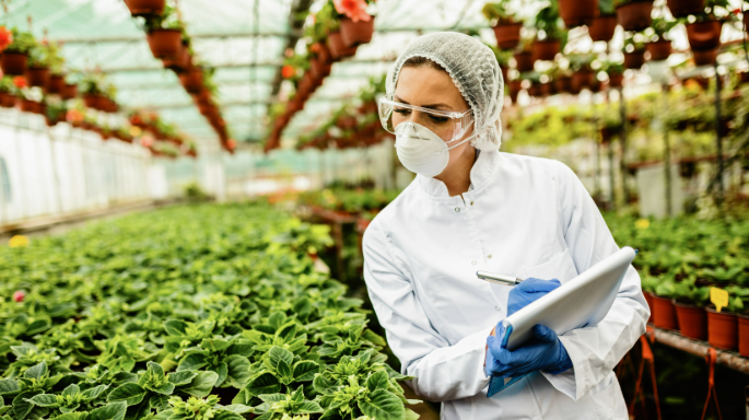 Nuevas tendencias para el sector alimentario 2025