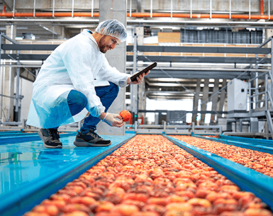 La tecnología revoluciona la industria alimentaria