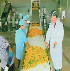 Linea procesadora de mango y piña