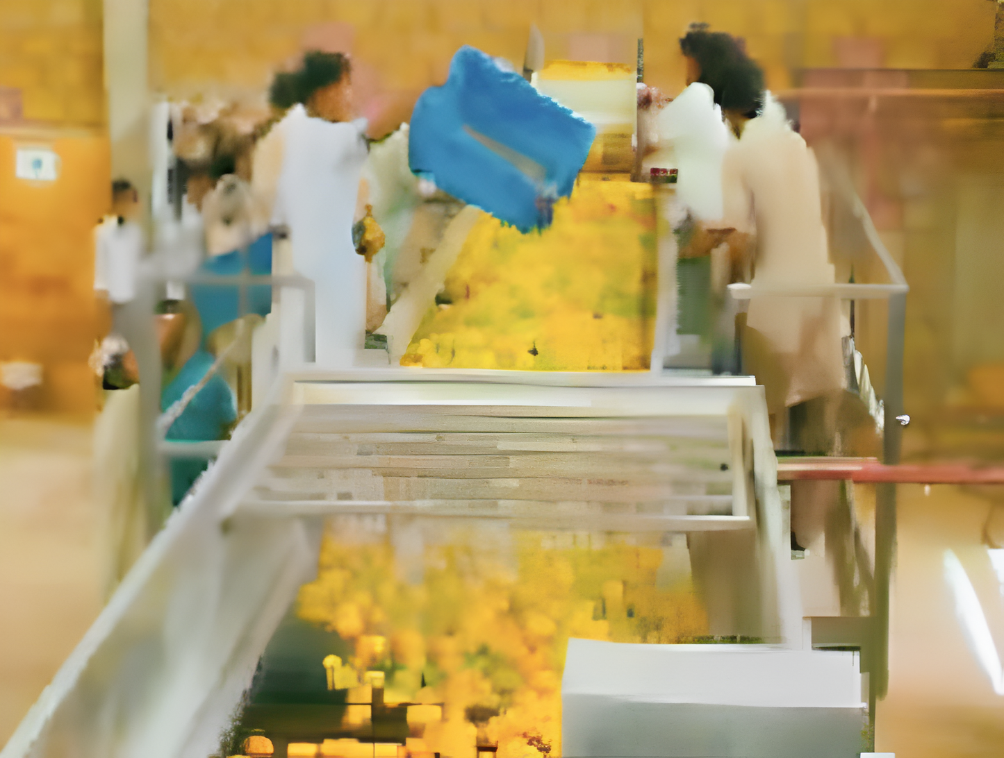 Linea procesadora de mango y piña